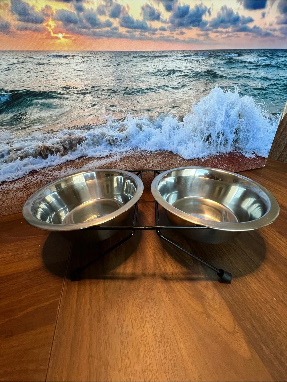 Double Stainless Steel Pet Bowl Set with Black Elevated Stand